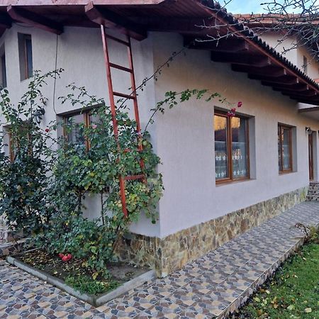 Casa Jan Bonca Bed & Breakfast Lorau Екстериор снимка