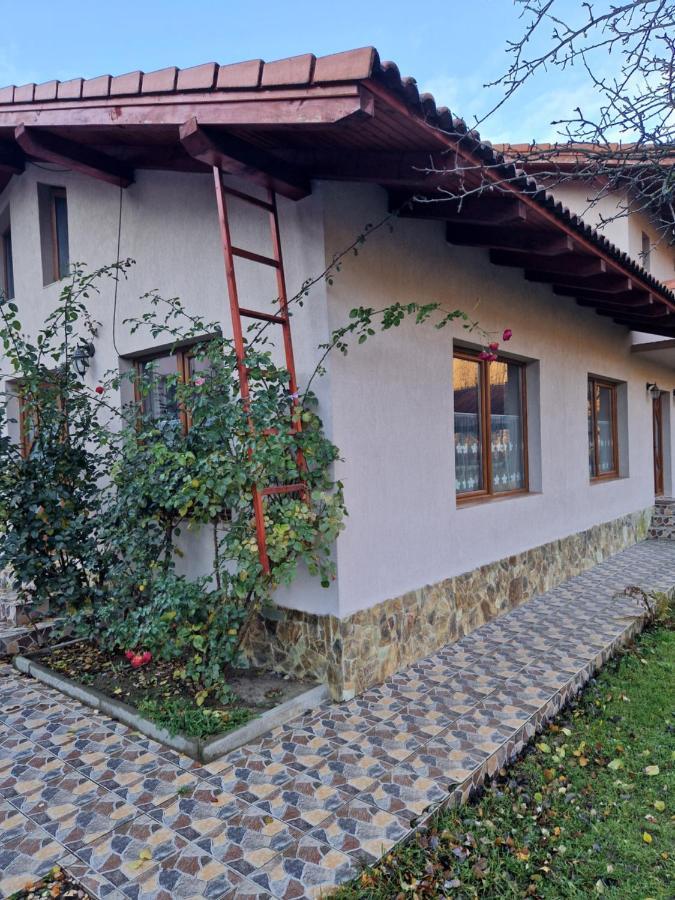 Casa Jan Bonca Bed & Breakfast Lorau Екстериор снимка