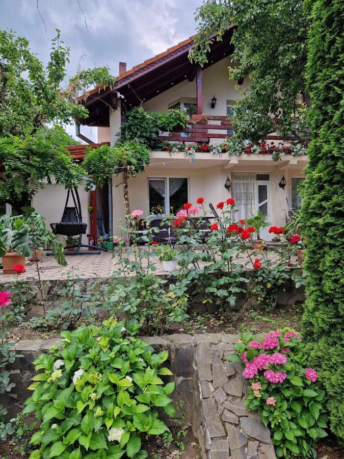 Casa Jan Bonca Bed & Breakfast Lorau Екстериор снимка